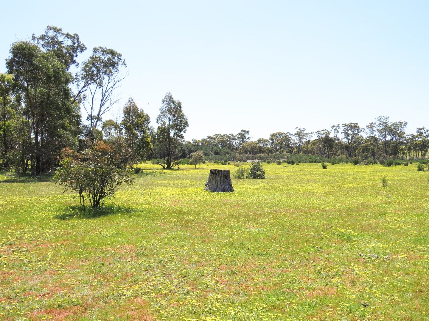 Lot 6 McNutts Lane, Heathcote VIC 3523, Image 0