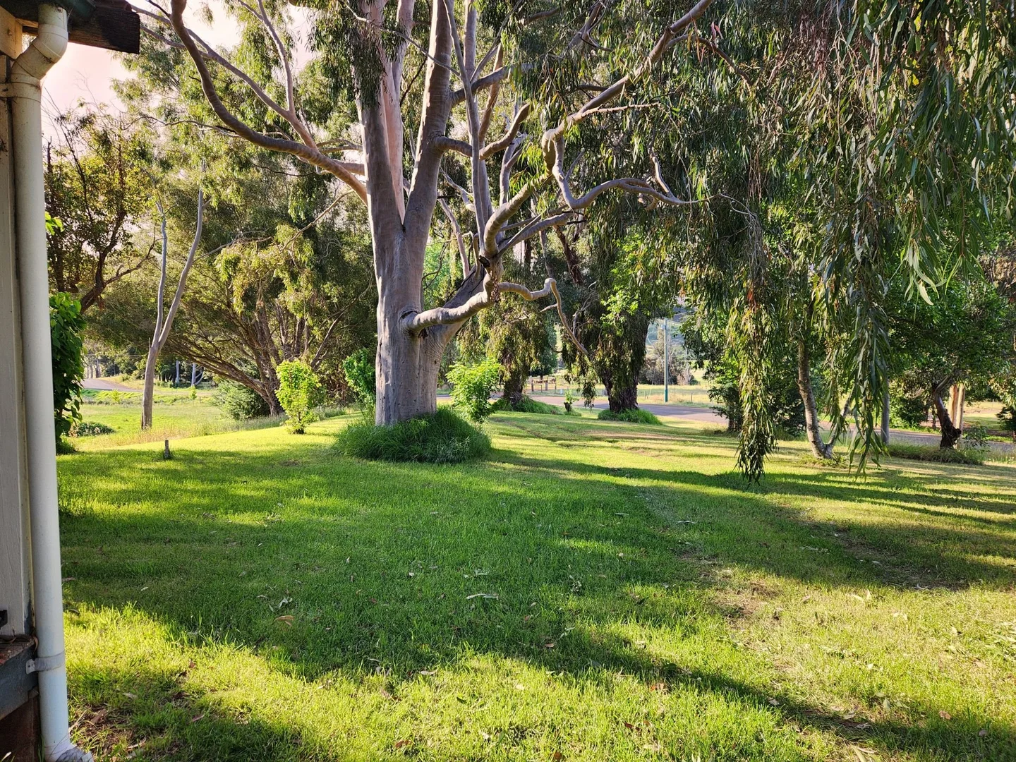 Image 17