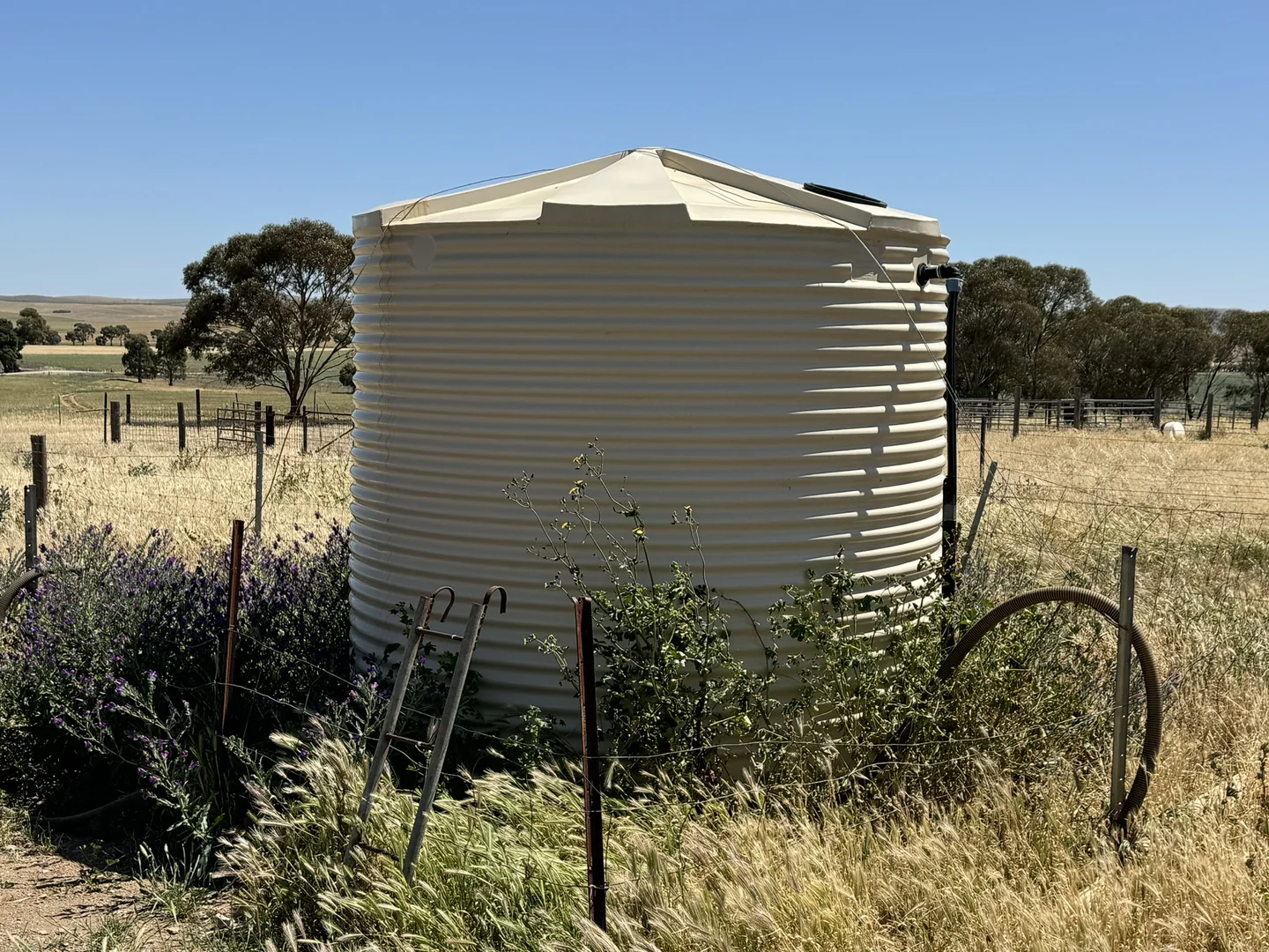 Image 10