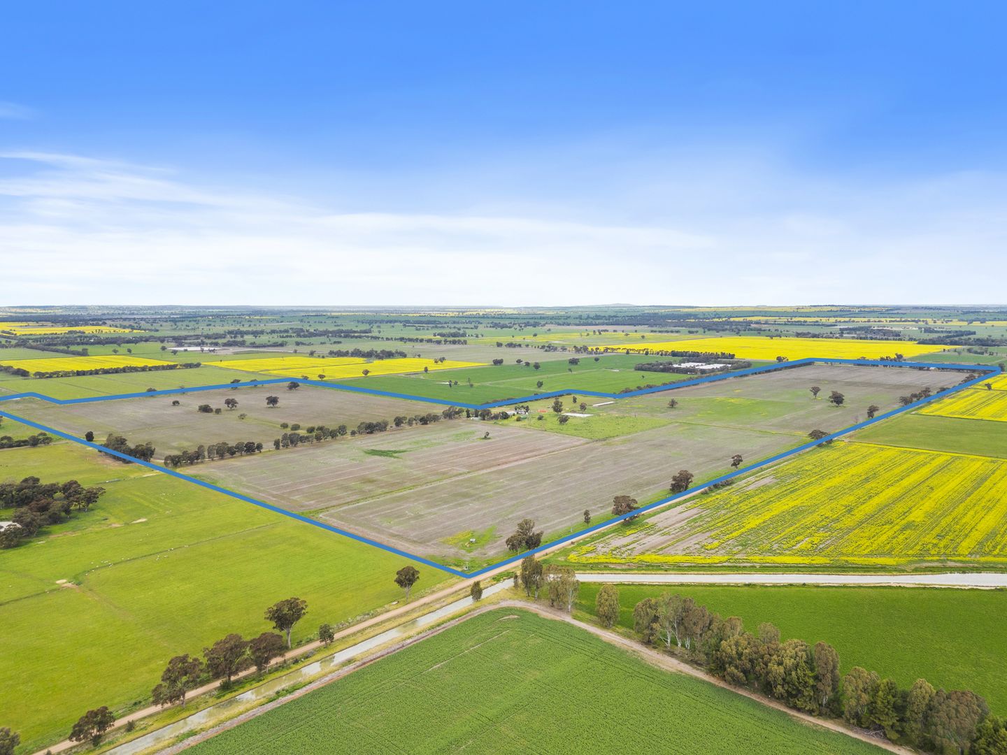 209 Boxwood Road, Berrigan NSW 2712 House for Sale Domain