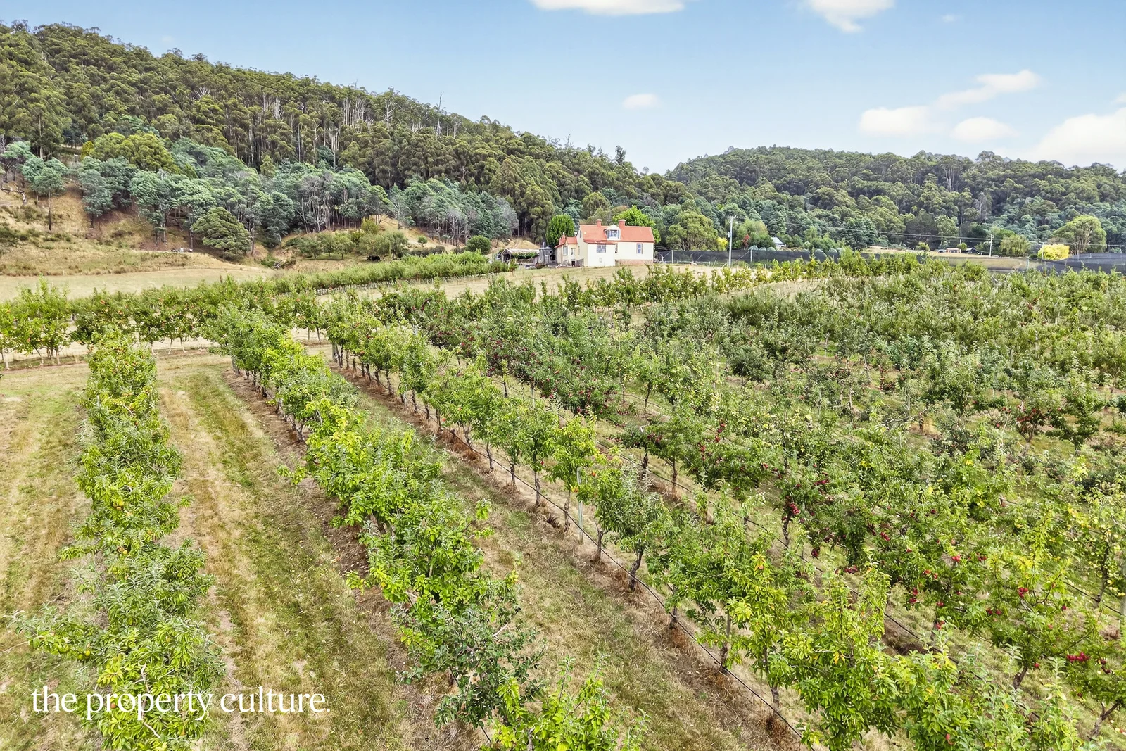 Additional image 20 of 25 Triffets Lane, Castle Forbes Bay TAS 7116