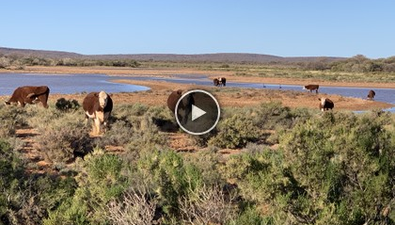 Picture of Cunyu Station, WILUNA WA 6646