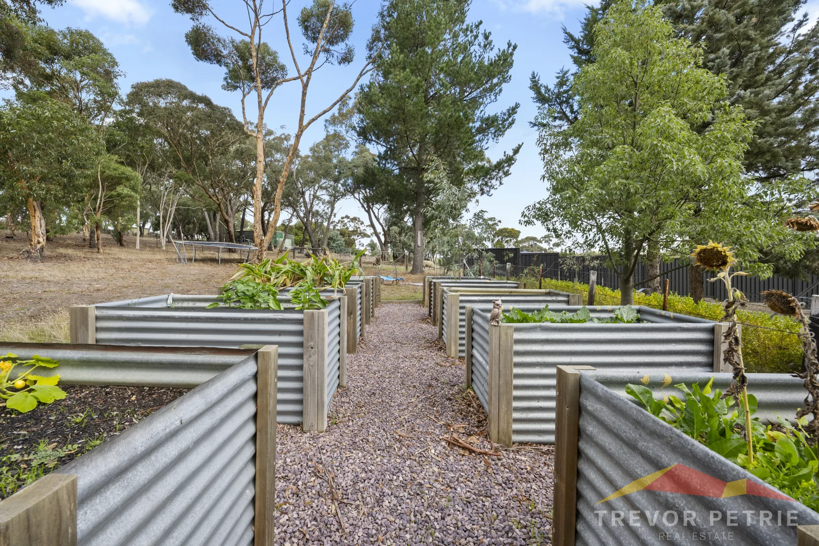 Additional image 19 of 29A Olinda Street, Beaufort VIC 3373