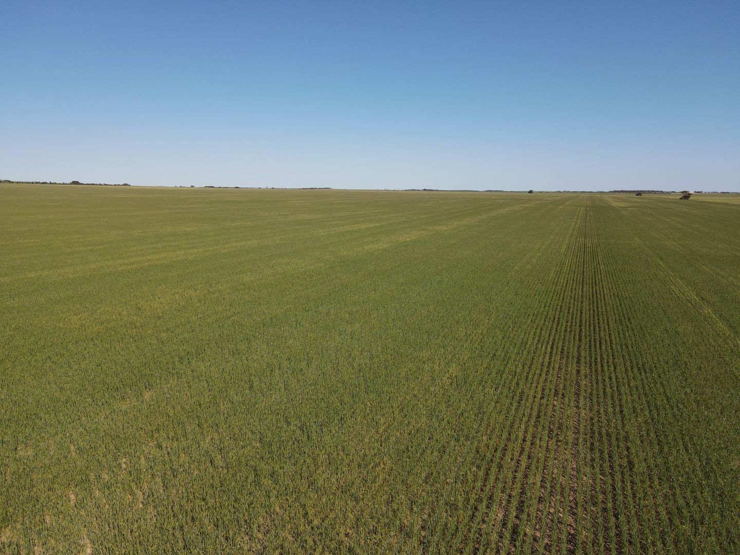 1671 South Kilkerran Rd, Maitland SA 5573 House for Sale Domain