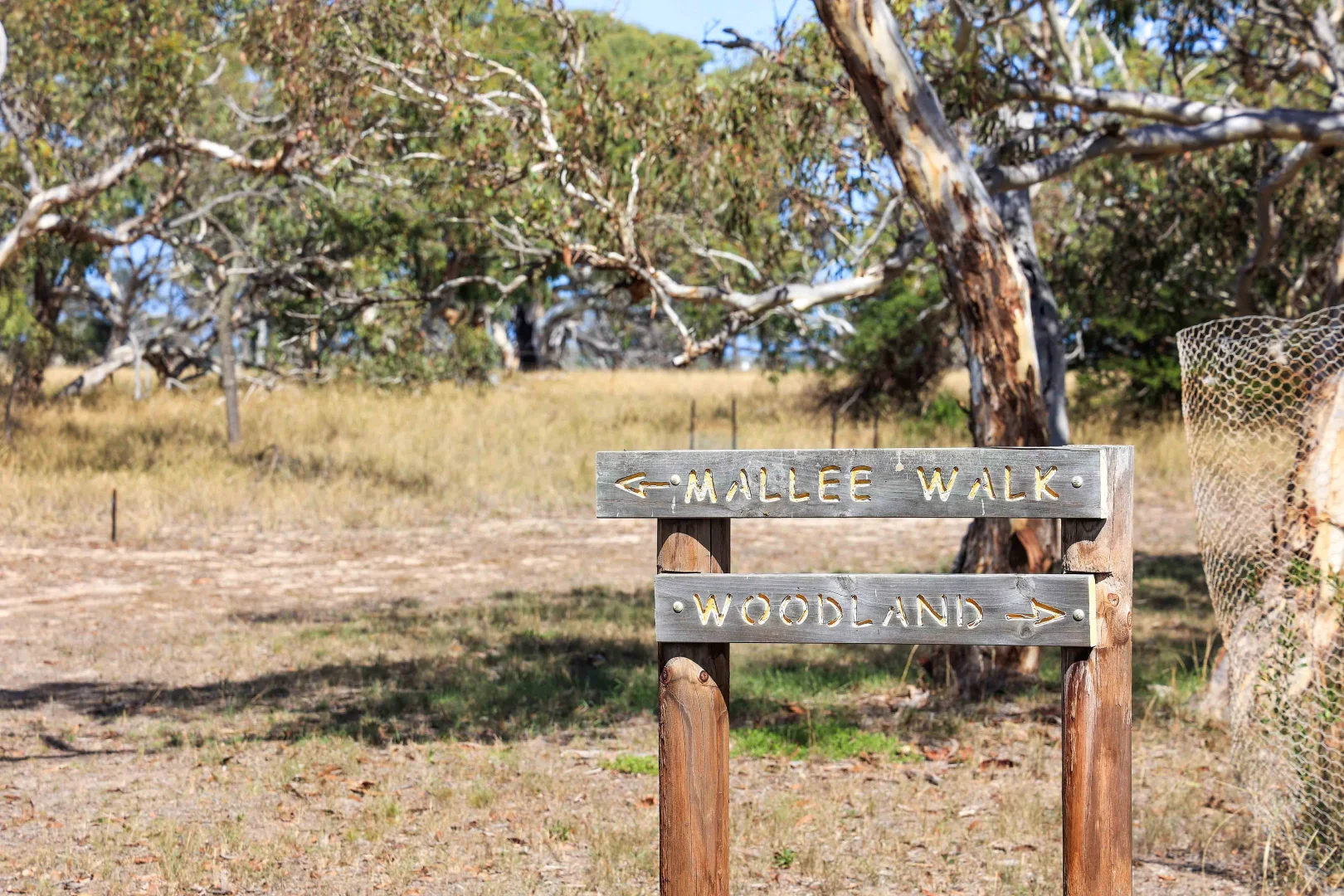 Additional image 6 of Lot 4 Kindaruar Road, Clayton Bay SA 5256