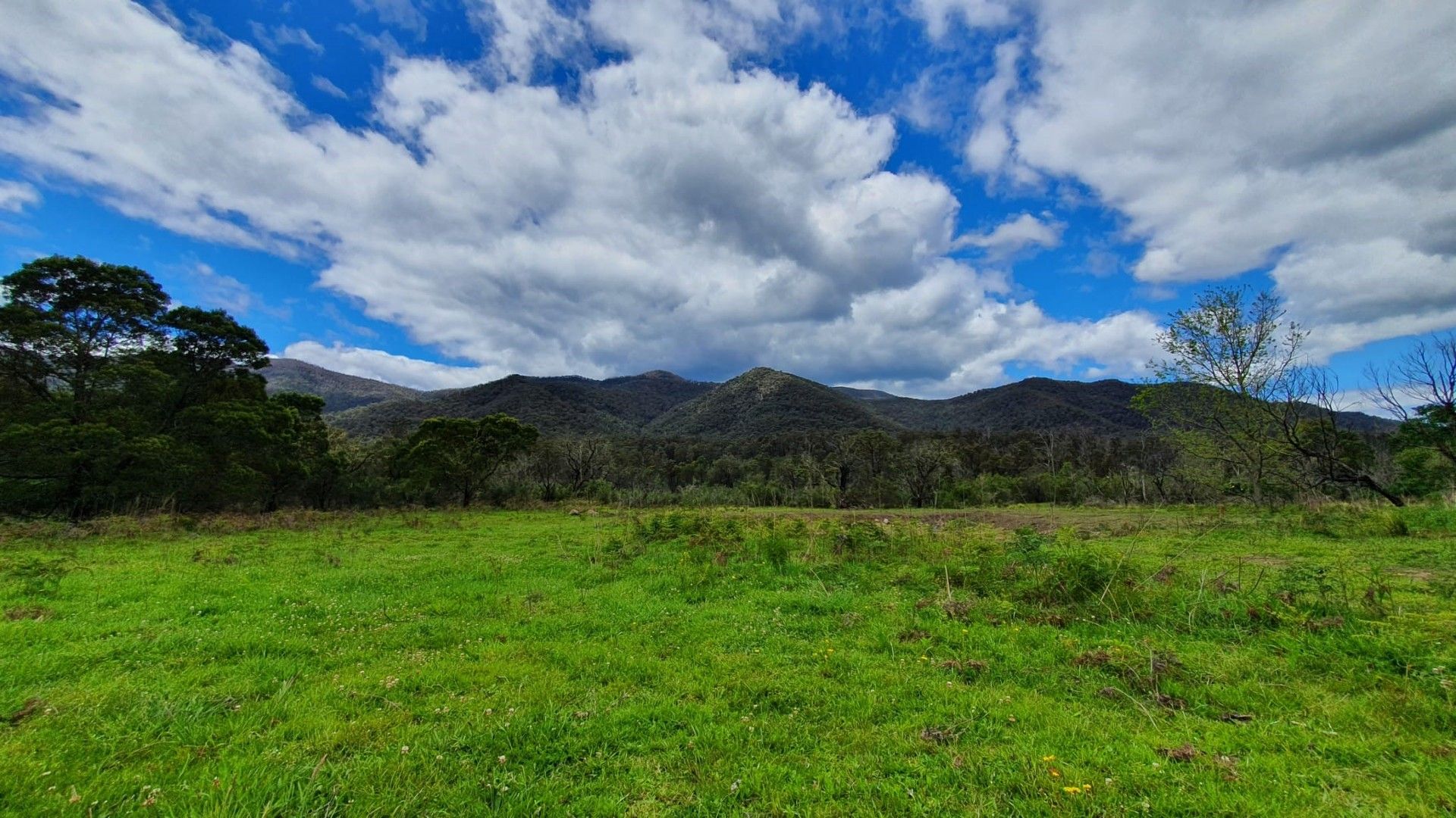 Lot D/650 Yankees Gap Road, Bemboka NSW 2550, Image 0