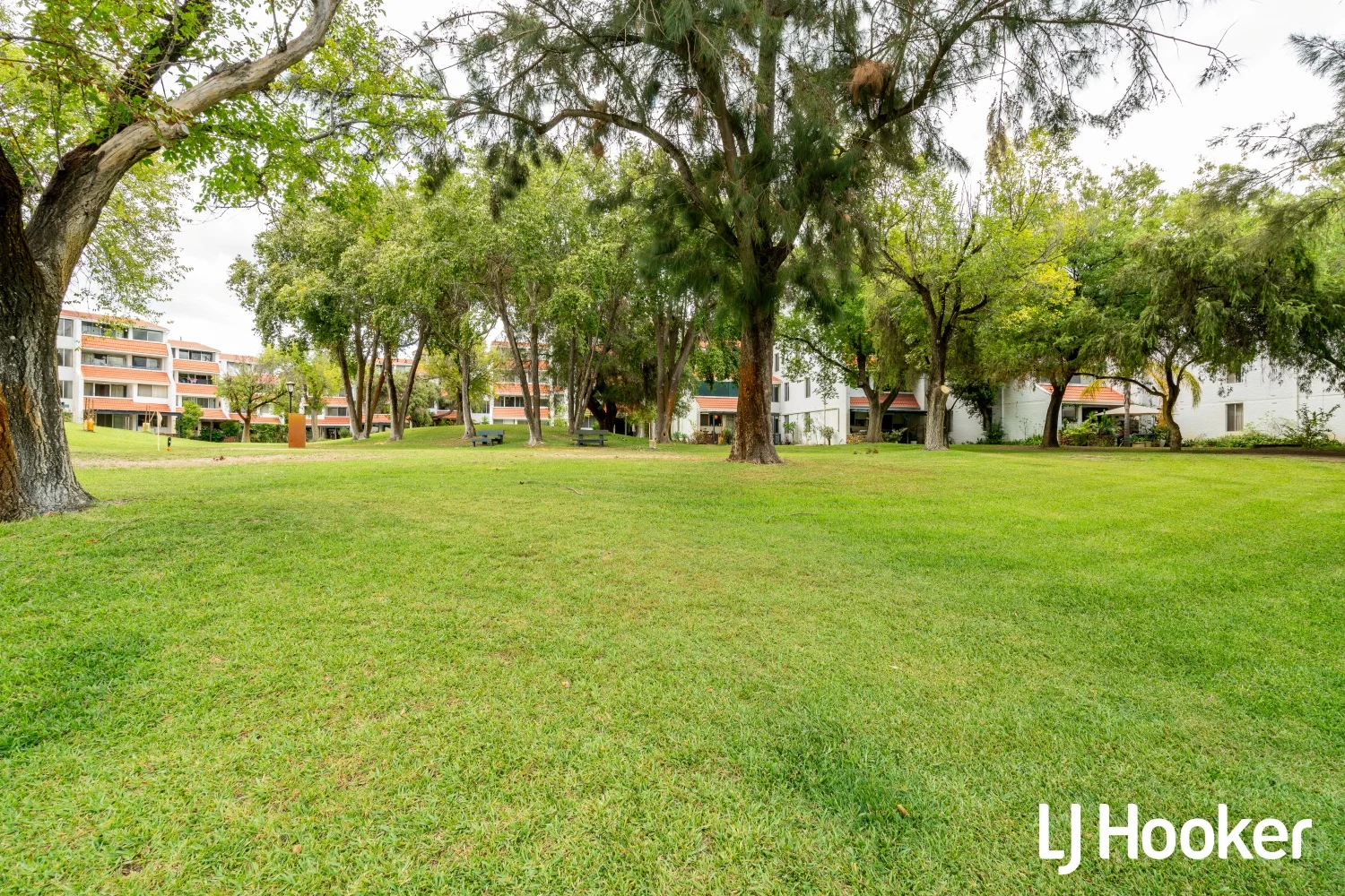 Additional image 14 of 53/12 Wall St, Maylands WA 6051