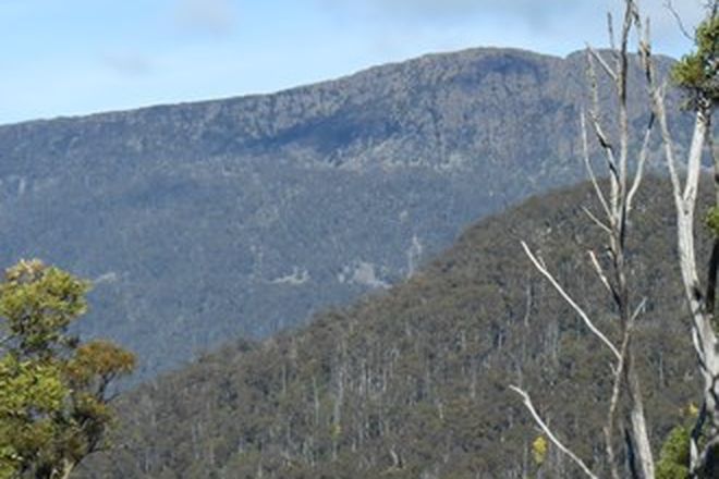 Picture of Lot 1 Myrtle Creek Road, LIFFEY TAS 7301