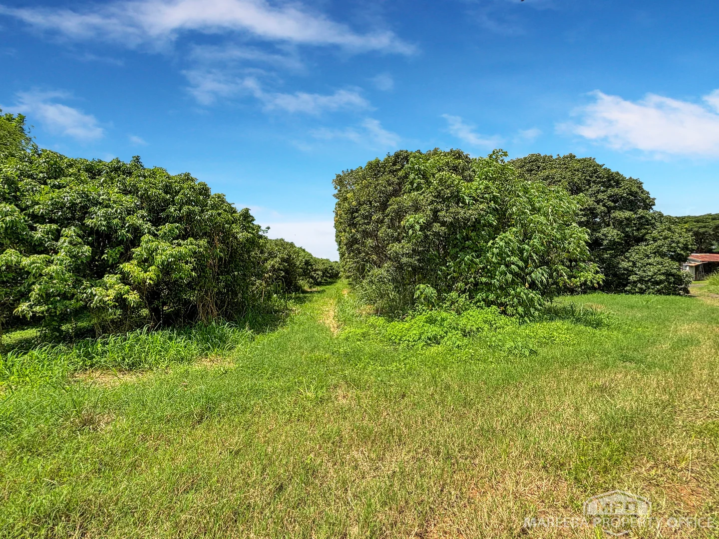 Additional image 25 of 346 Roiko Road, Mareeba QLD 4880