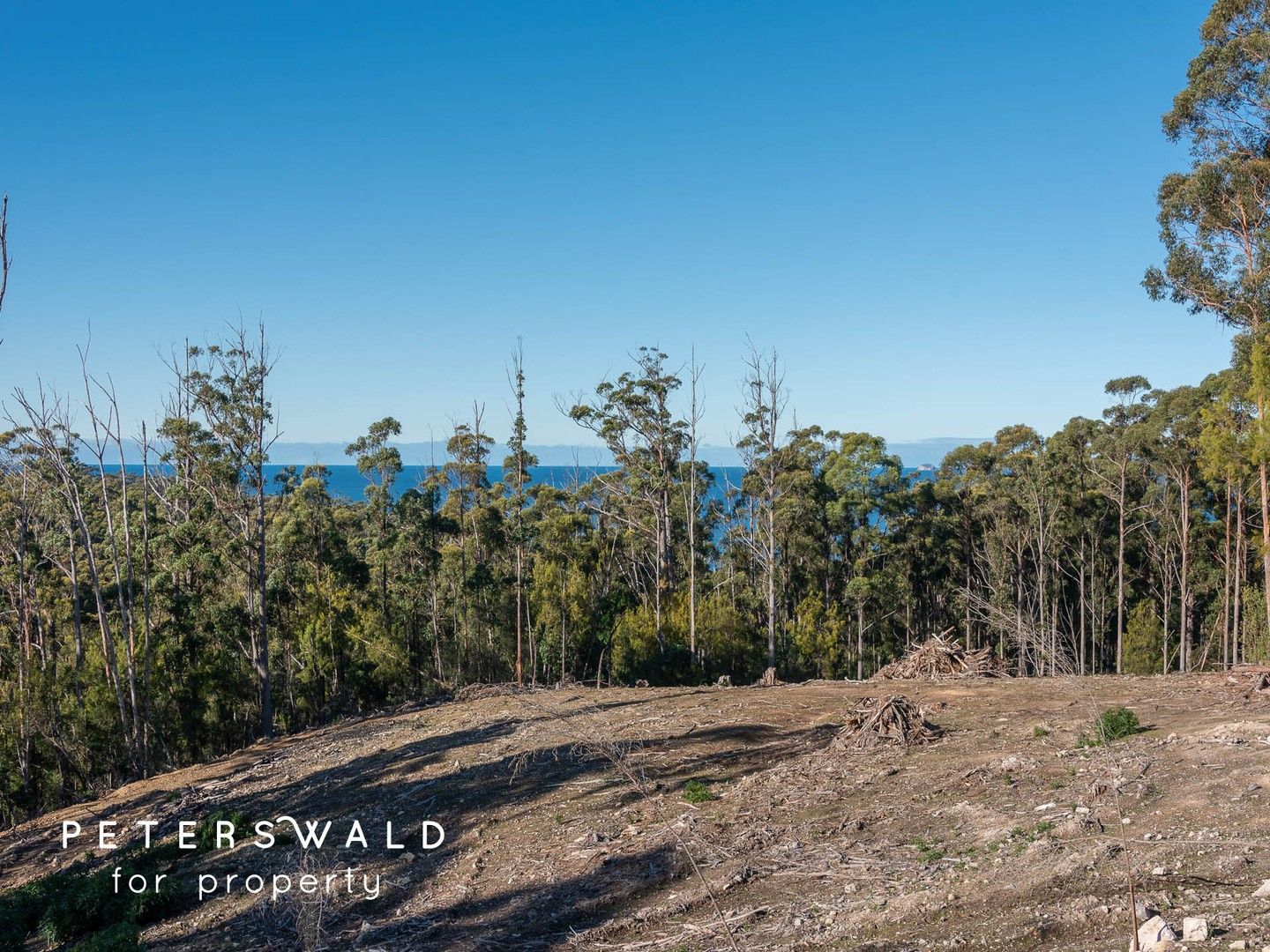 298a Pirates Bay Drive, Eaglehawk Neck TAS 7179 Domain