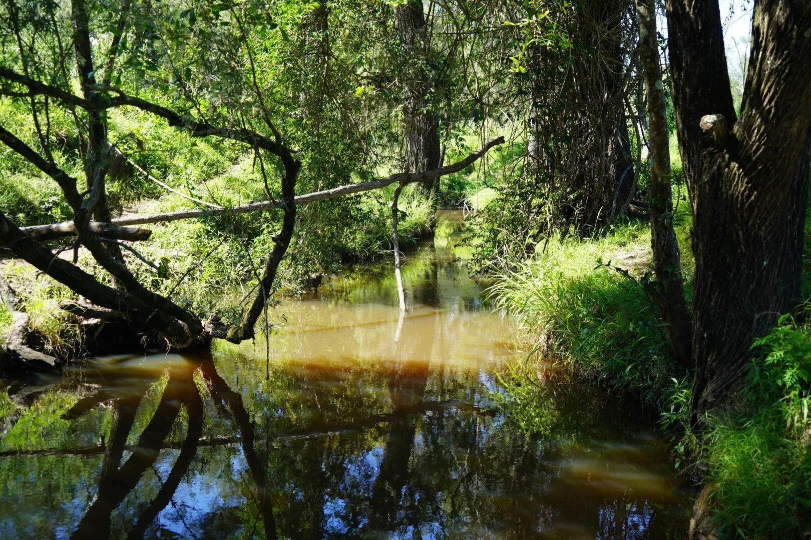 Additional image 21 of 113 Bruxner Highway, Casino NSW 2470