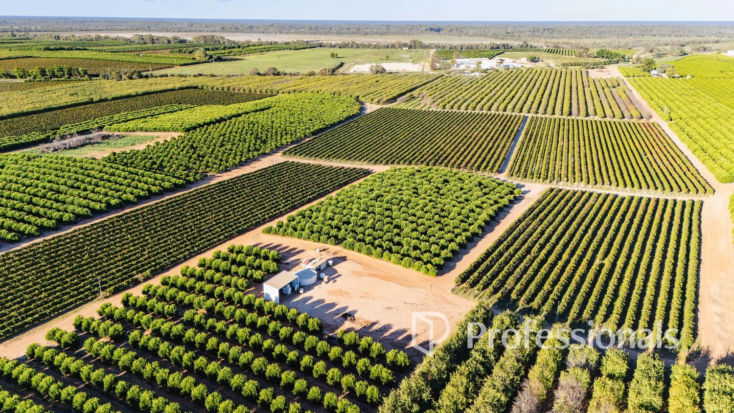 Additional image 6 of 2050 Kulkyne Way, Iraak VIC 3494