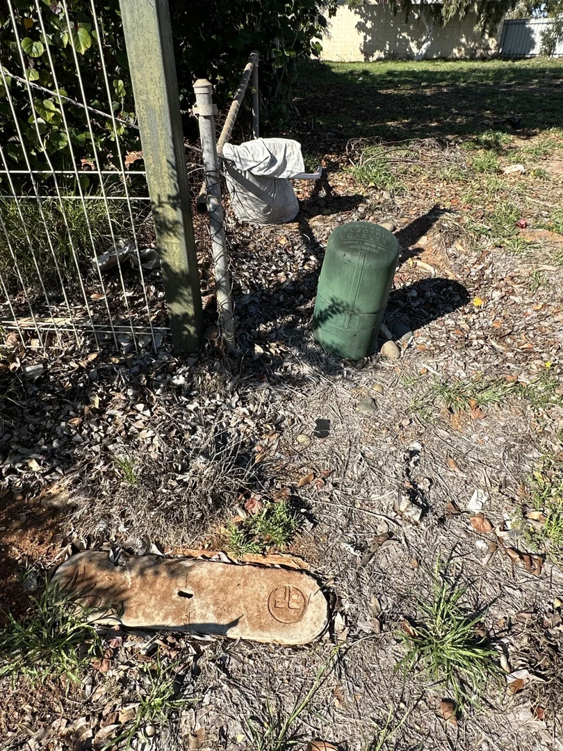 Image 6
