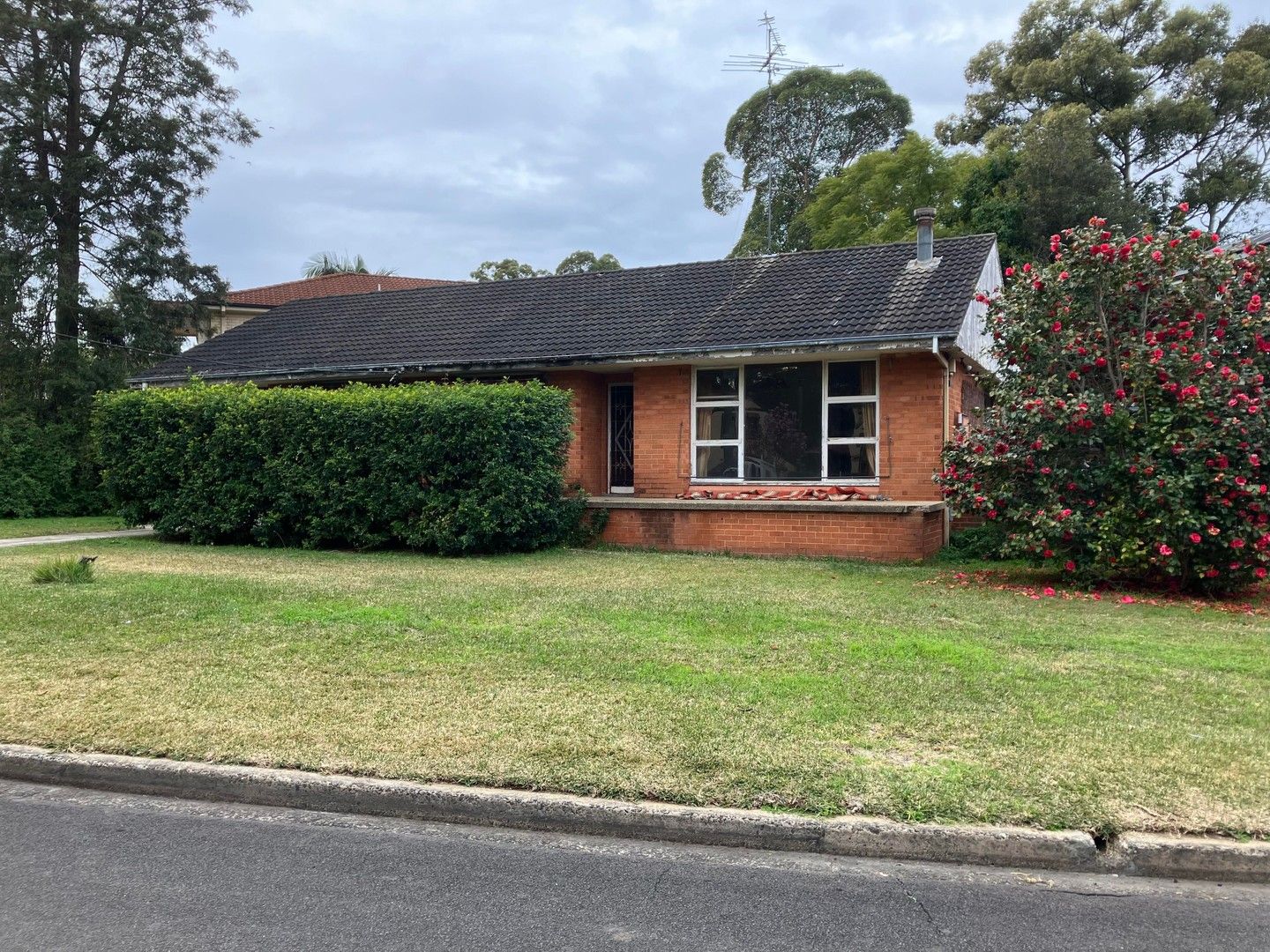 3 bedrooms House in 16 KERRIE ROAD OATLANDS NSW, 2117