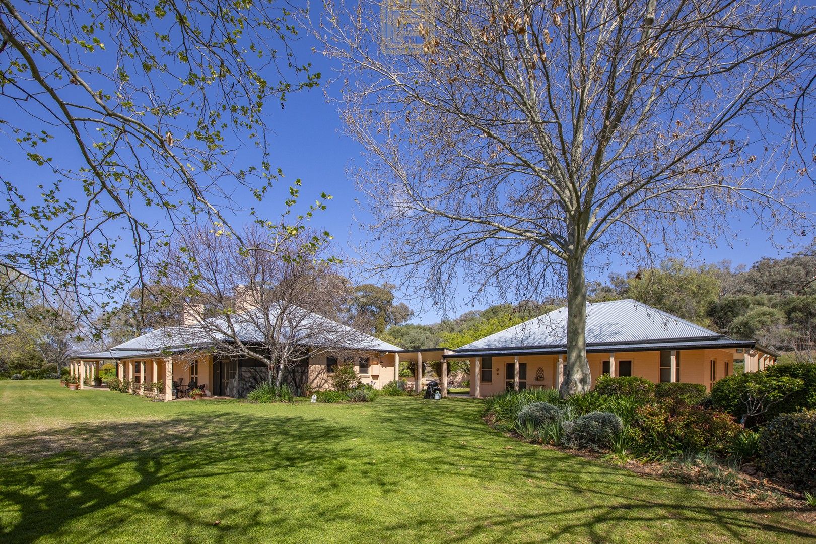 Blackville Road, Willow Tree NSW 2339, Image 0