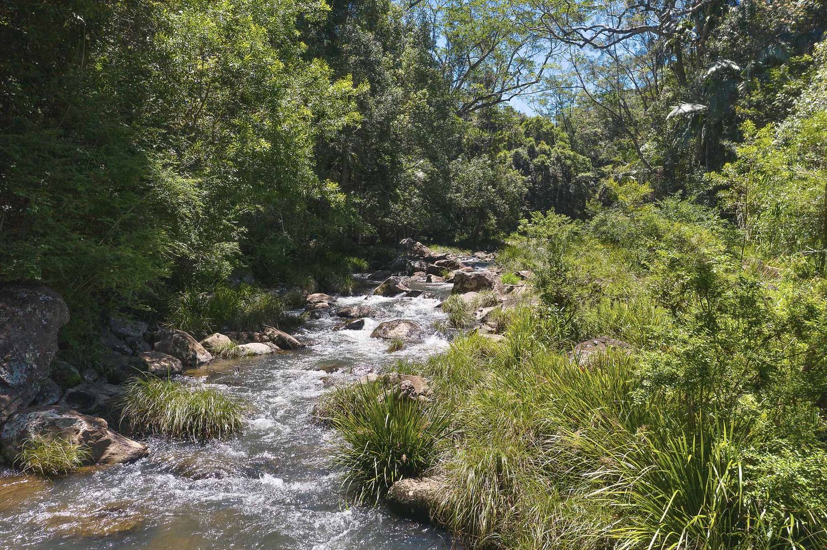 1028 Wilsons Creek Road, Wilsons Creek NSW 2482 House for Sale