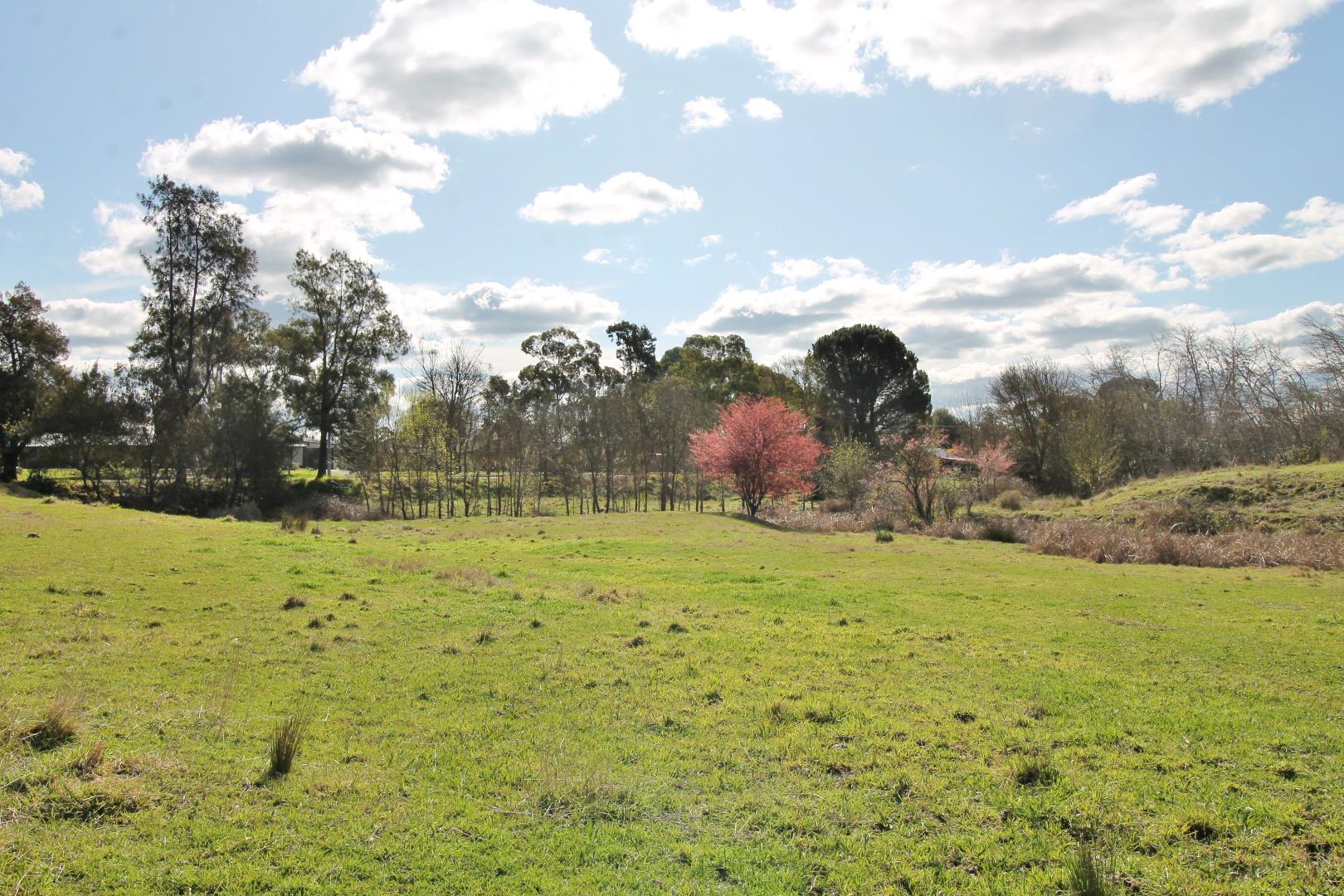 (Part) 16 Willawong Street, Young NSW 2594 Domain