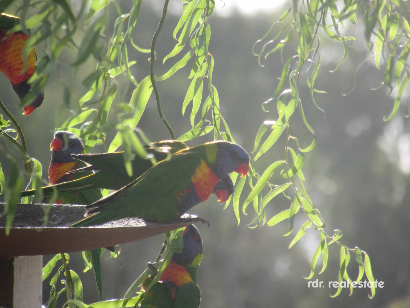 Additional image 18 of 55 Bendemeer Street, Bundarra NSW 2359