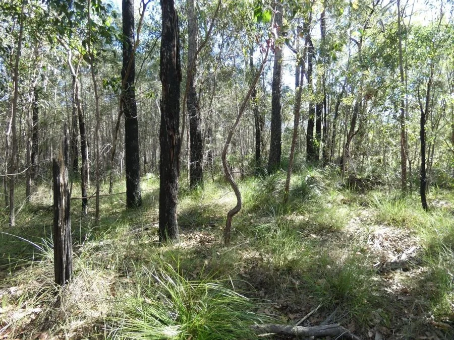 Additional image 31 of 960 Pacific Drive, Deepwater QLD 4674