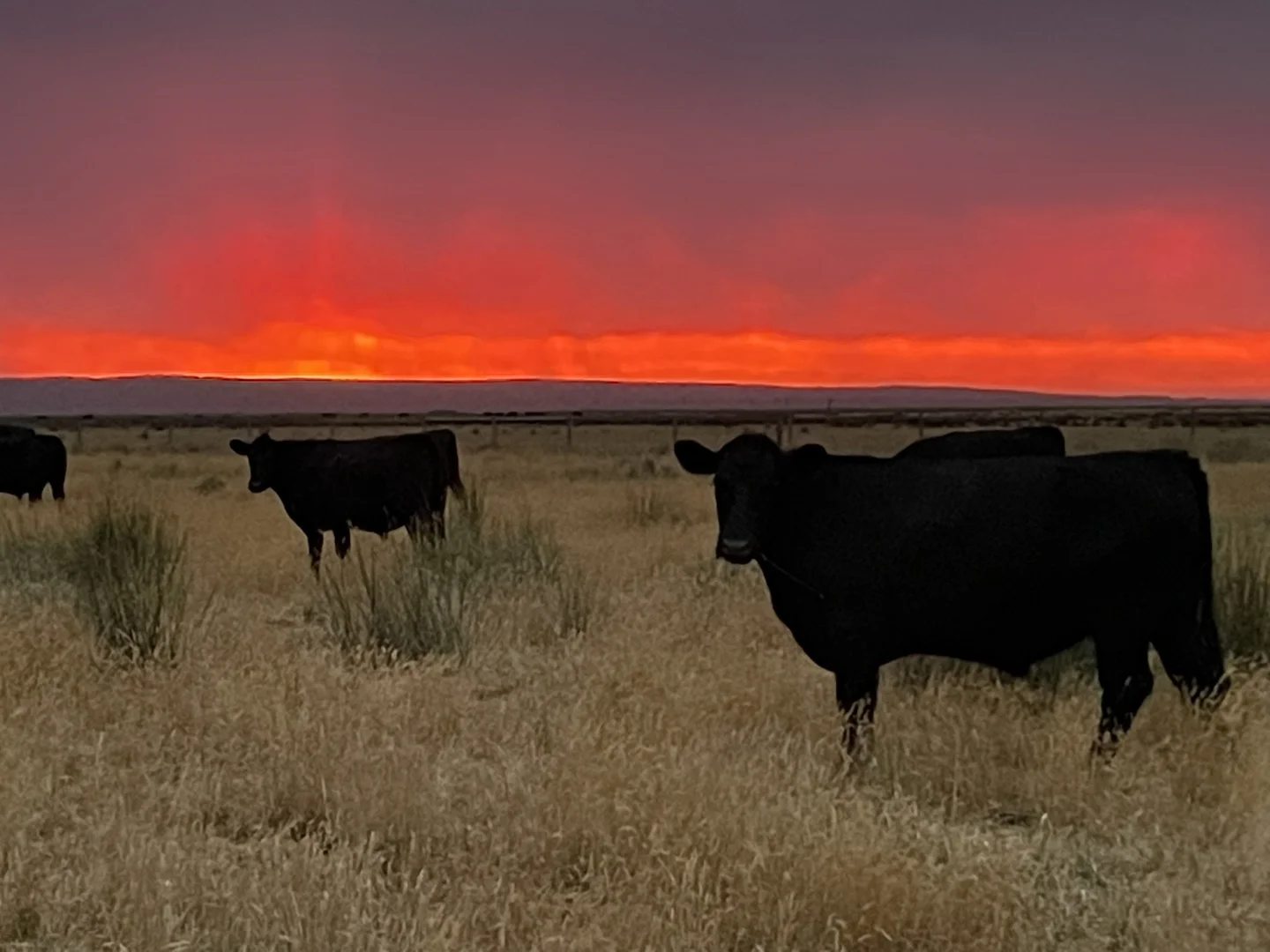 Additional image 31 of 360 Stanlake Road, Lang Lang VIC 3984