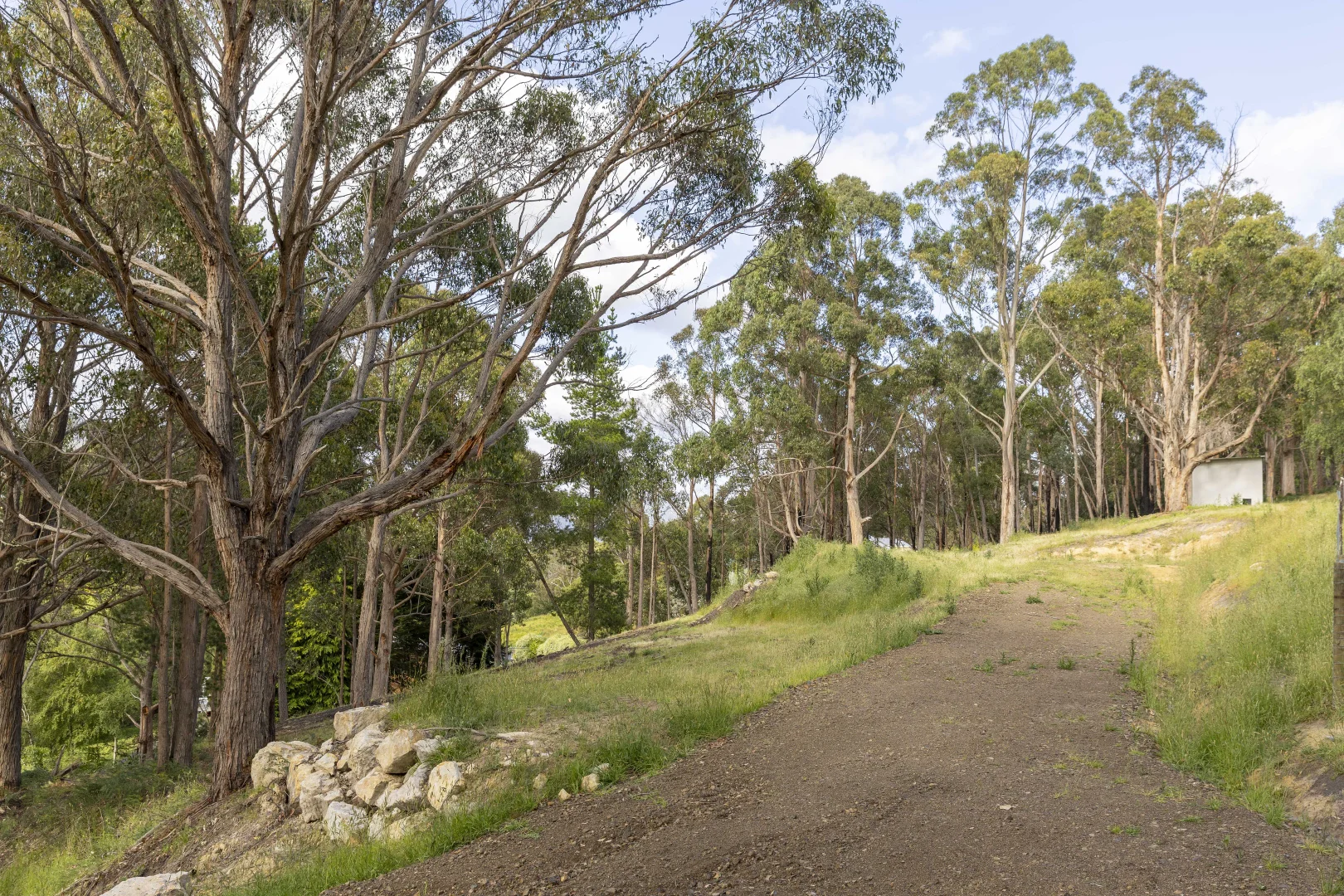 Image 13