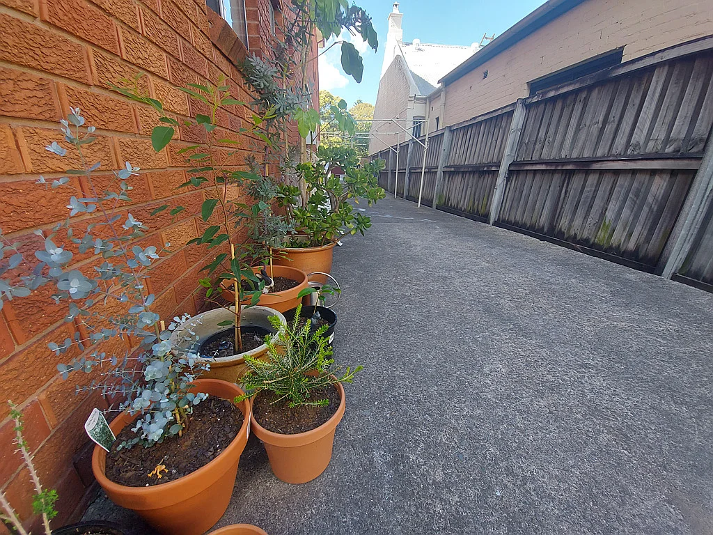 Additional image 5 of 11/41 LORD STREET, Newtown NSW 2042