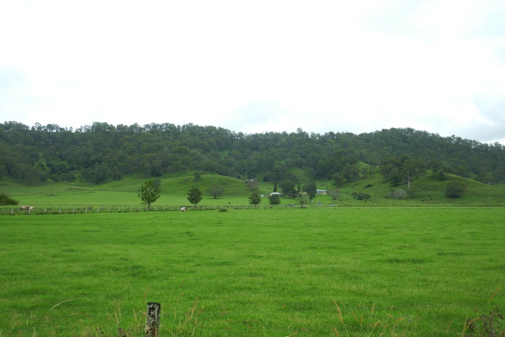 4 bedrooms Rural in 849 Wiangaree Back Road KYOGLE NSW, 2474