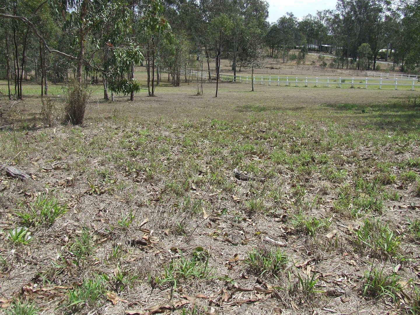 South MacLean QLD 4280 vacant land for Sale, 360,000 2014712709 Domain