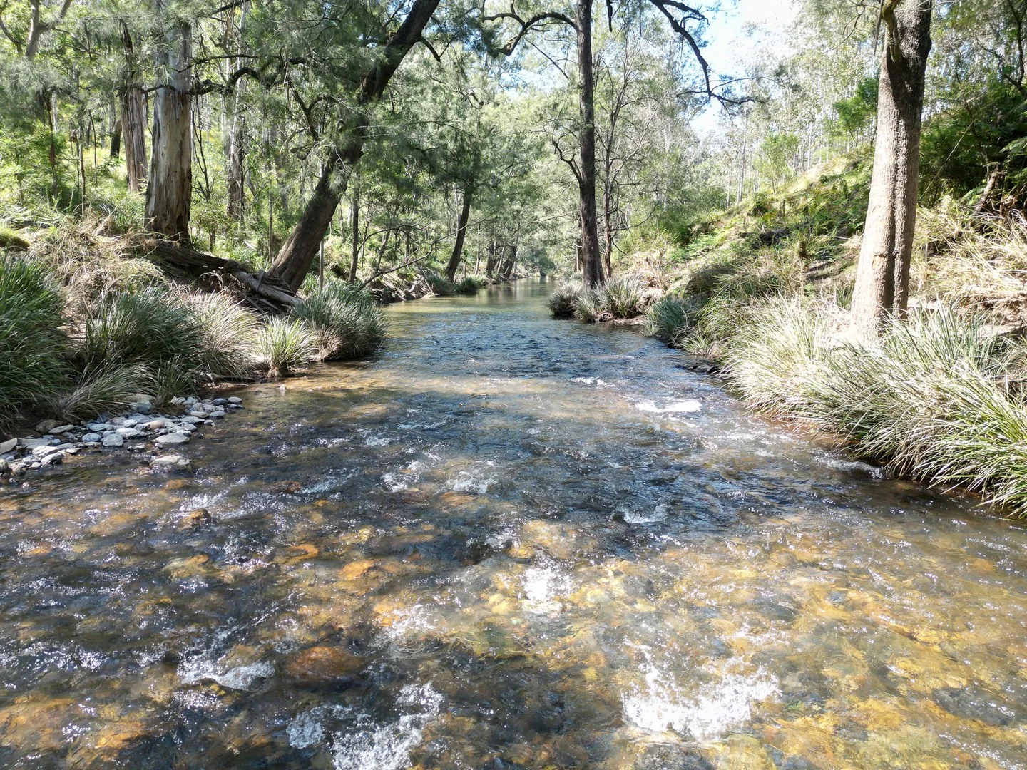 638 Tops Road, Nowendoc NSW 2354