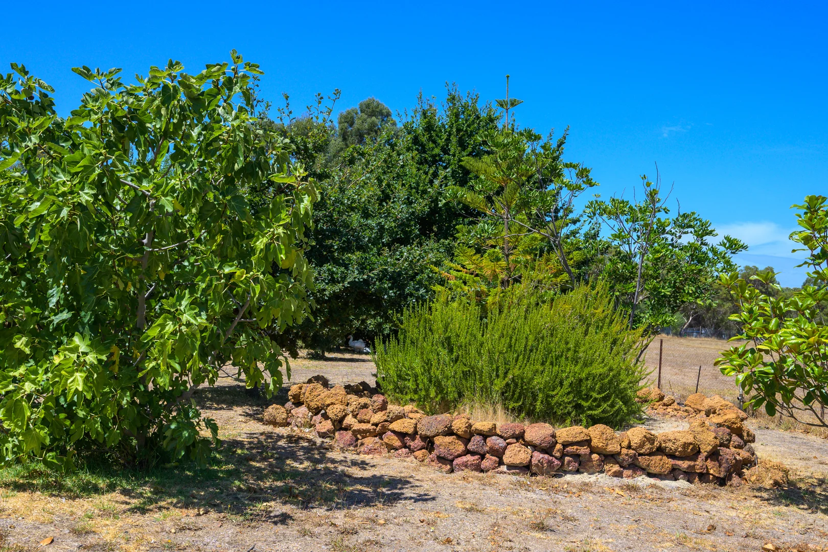 Additional image 20 of 75 Peninsula Road, Bridgetown WA 6255