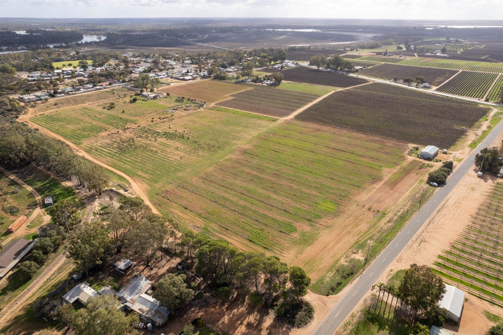 Lot 2 Hombsch Road, Cobdogla SA 5346, Image 0