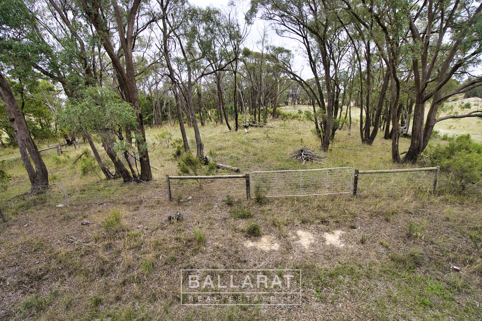 3 Nine Mile Road, Napoleons VIC 3352, Image 1