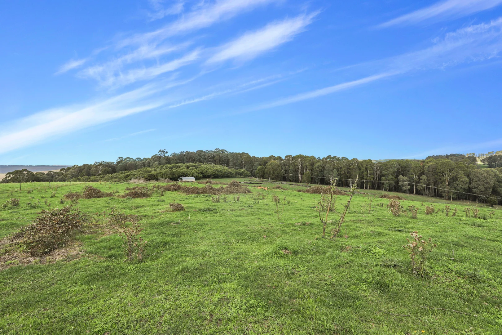 Additional image 7 of 3356 Batlow Road, Batlow NSW 2730