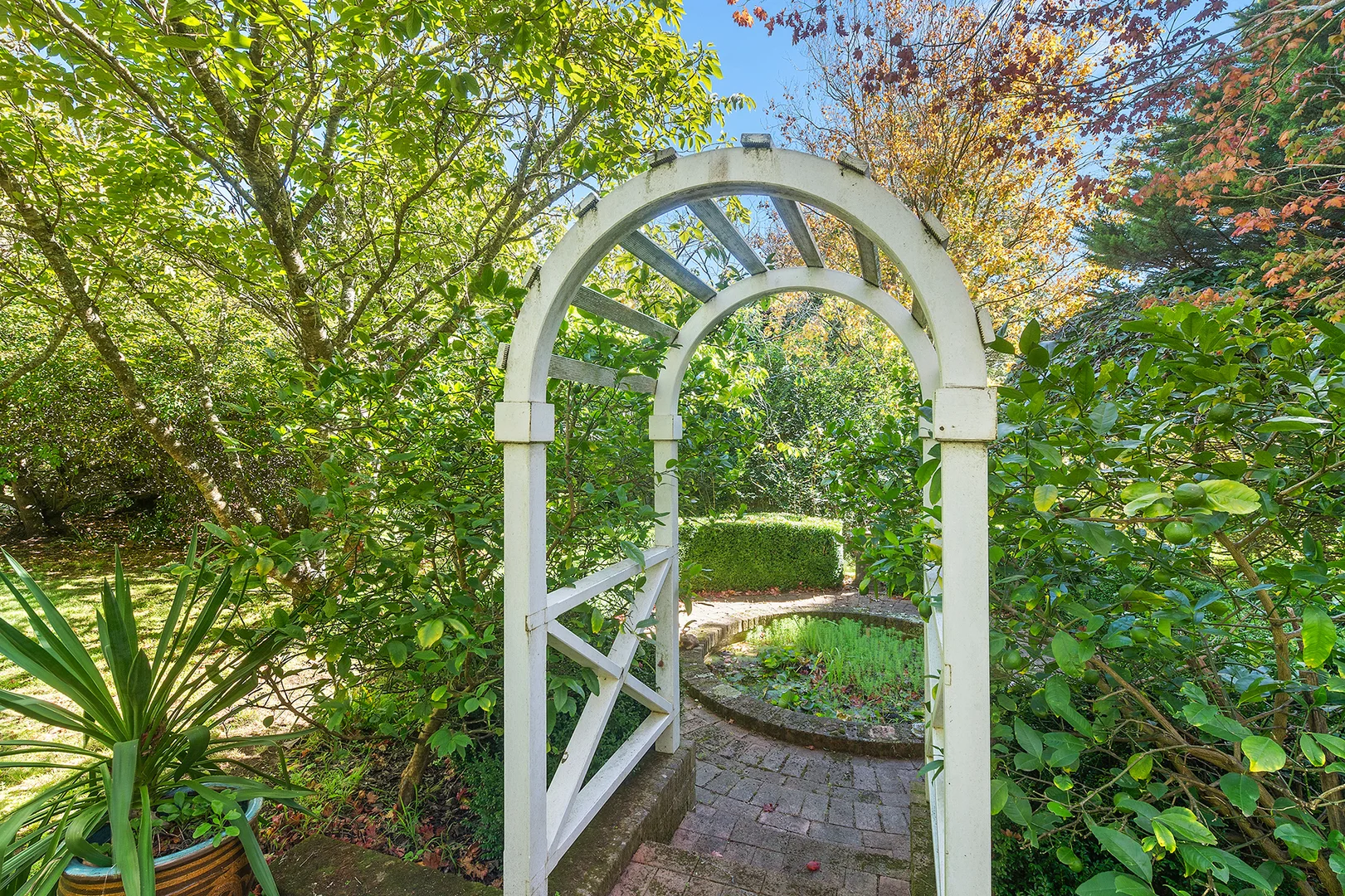 Image 8