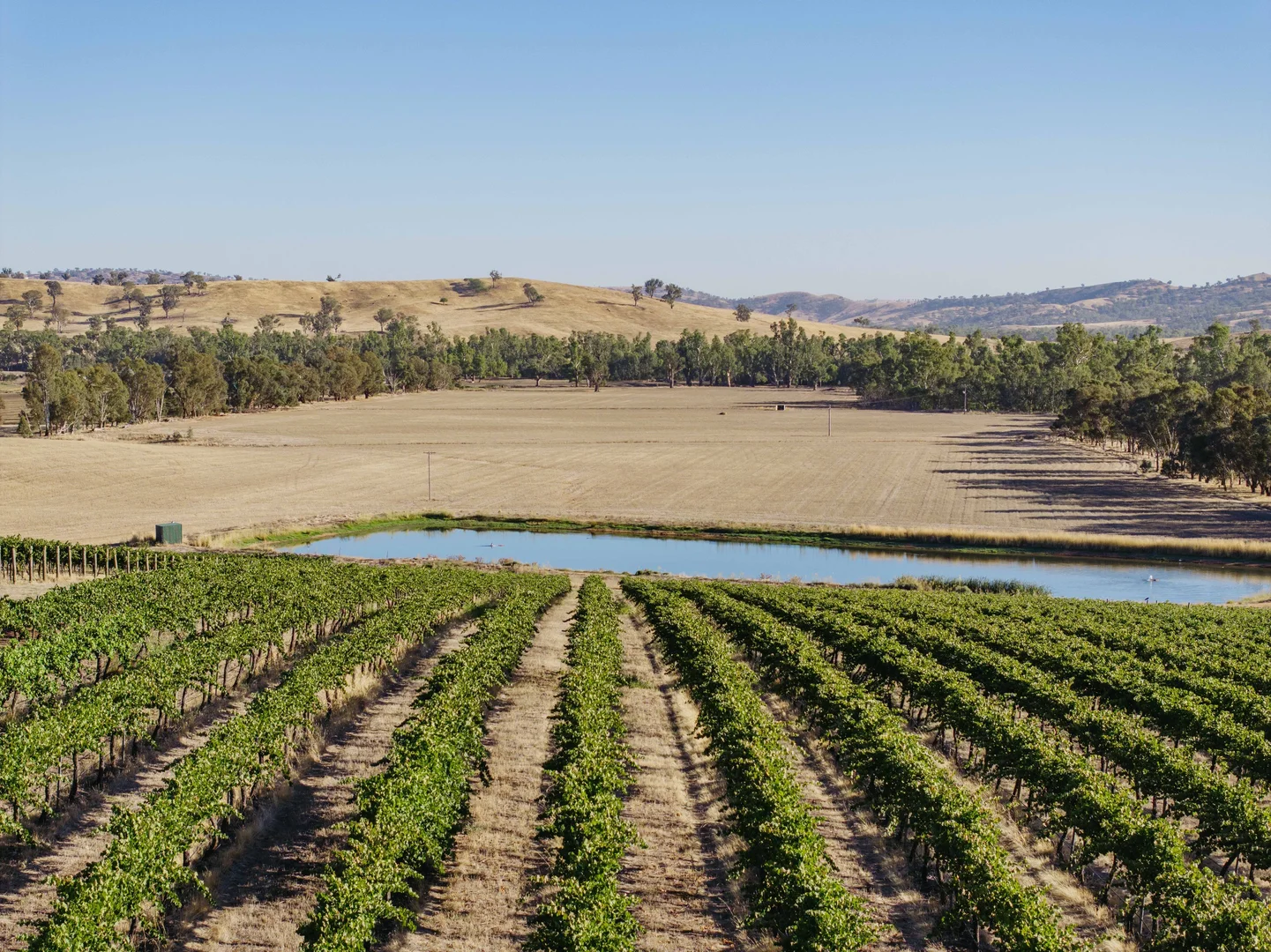 Additional image 26 of 1734 Sturt Highway, Wagga Wagga NSW 2650