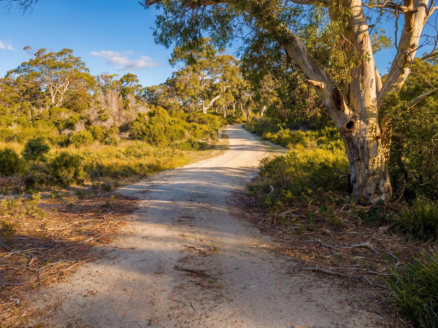 Additional image 10 of Lot 1 & 2 Waterhouse Road, Waterhouse TAS 7262
