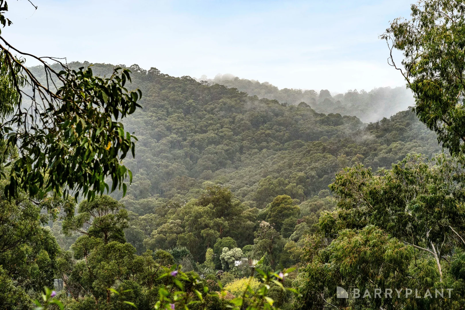 Additional image 12 of 13 Toorak Avenue, The Basin VIC 3154