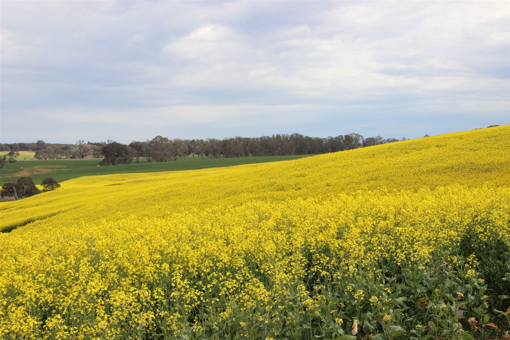 . Hyde Park Browns Road & Sunraysia Highway, Lexton VIC 3352, Image 0