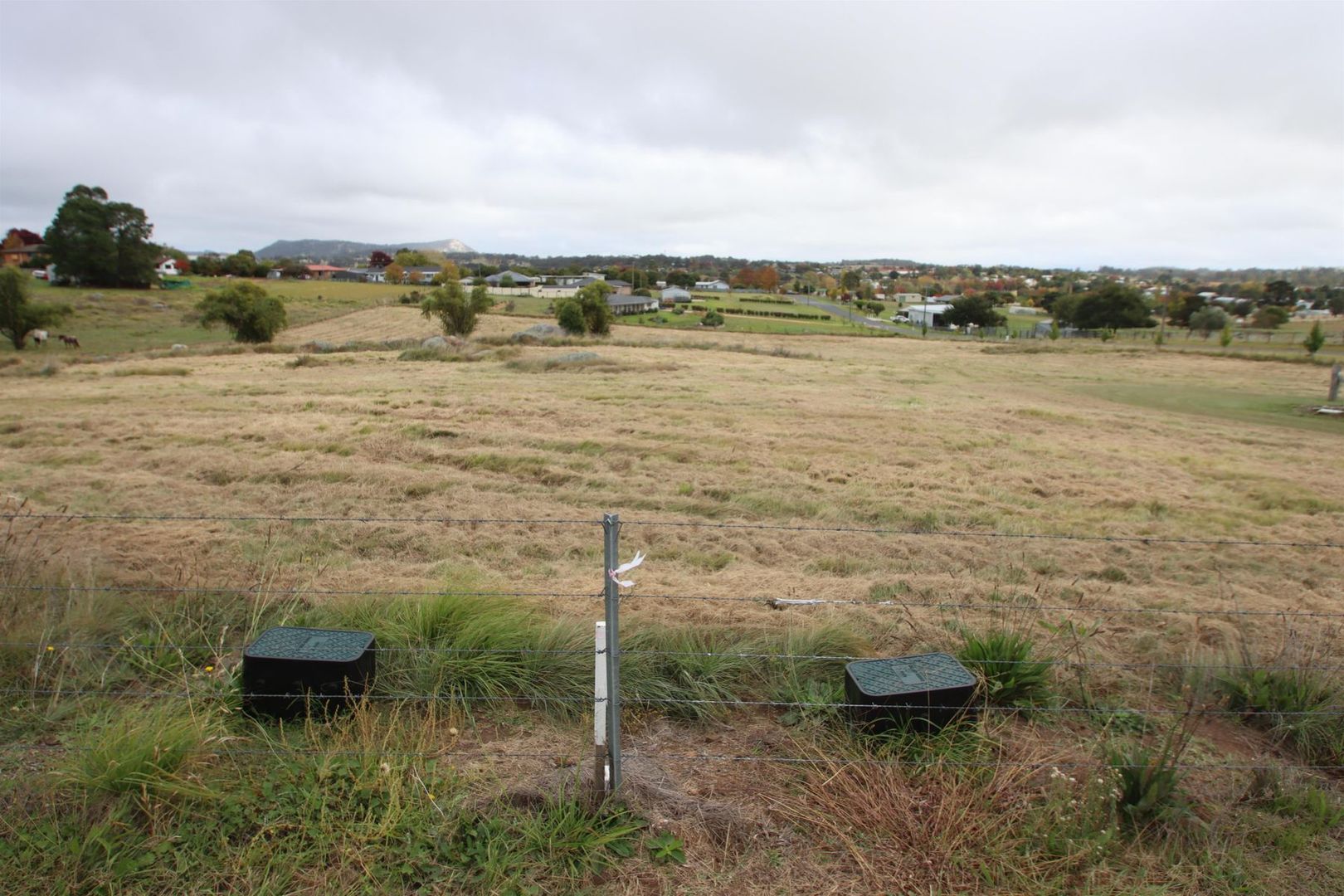 Lot 43 East Street, Tenterfield NSW 2372, Image 1