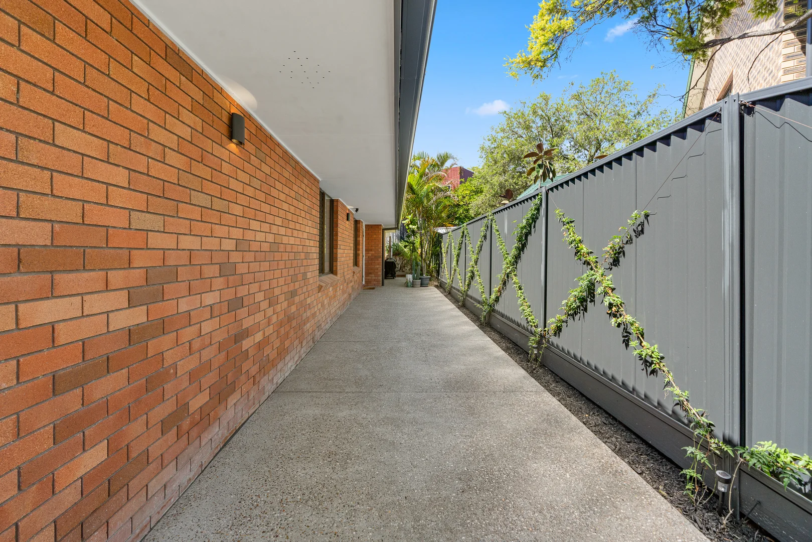 Image 25