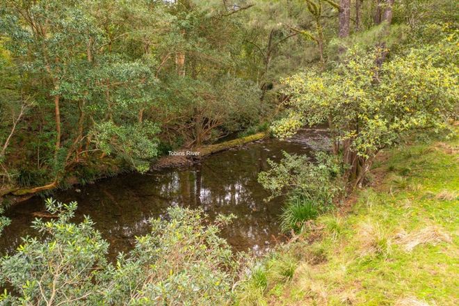 Picture of Lot 24 209 Tobins River Road, MOUNT SEAVIEW NSW 2446