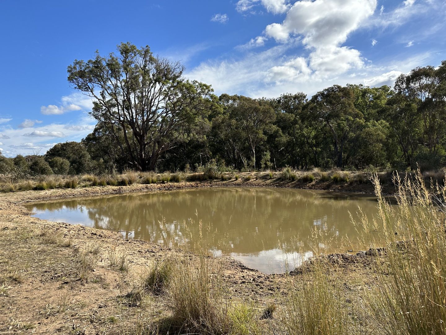 1830 Mount Hope Road, Coolah NSW 2843 House for Sale Domain