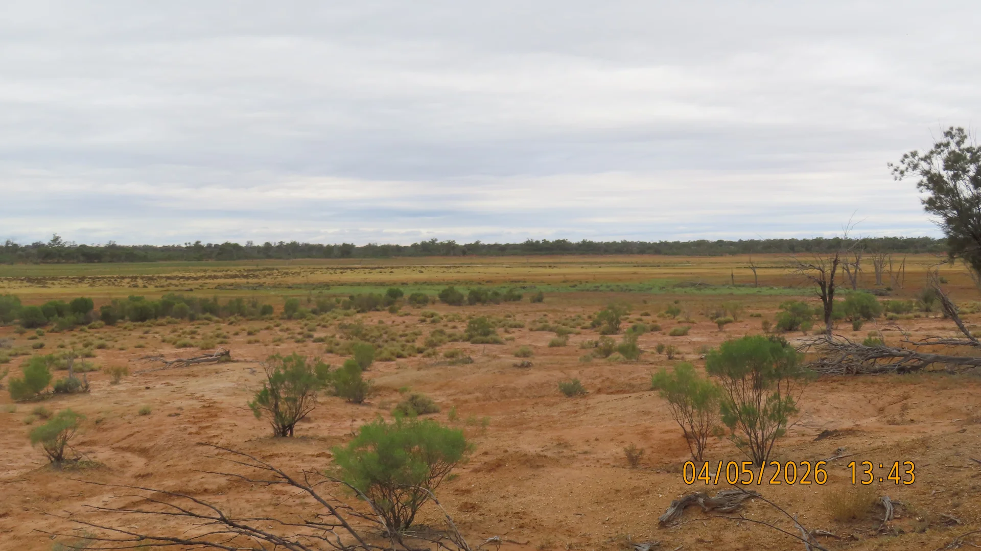Image 12