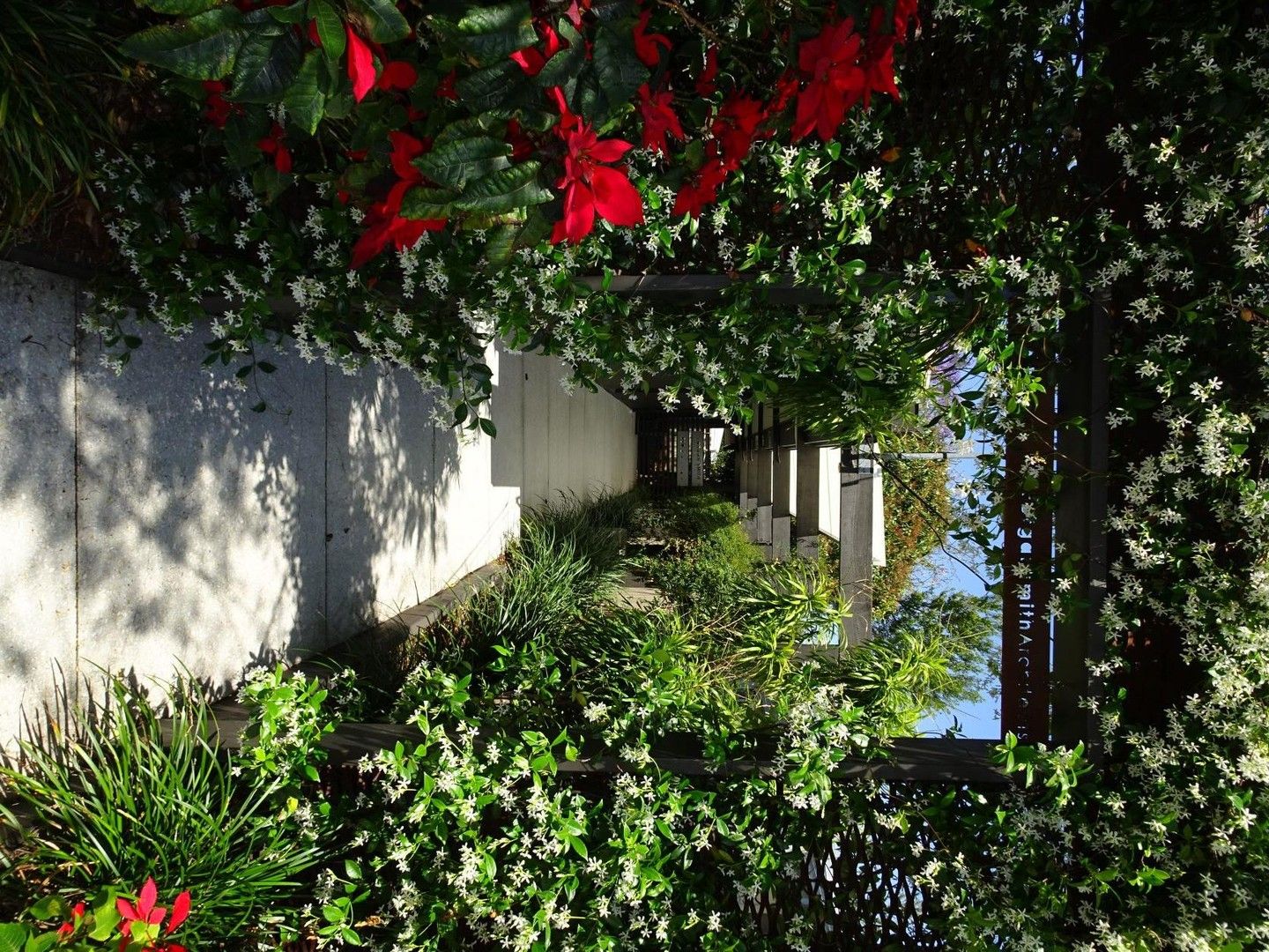 House in 28 ASHMORE ROAD, BUNDALL QLD, 4217