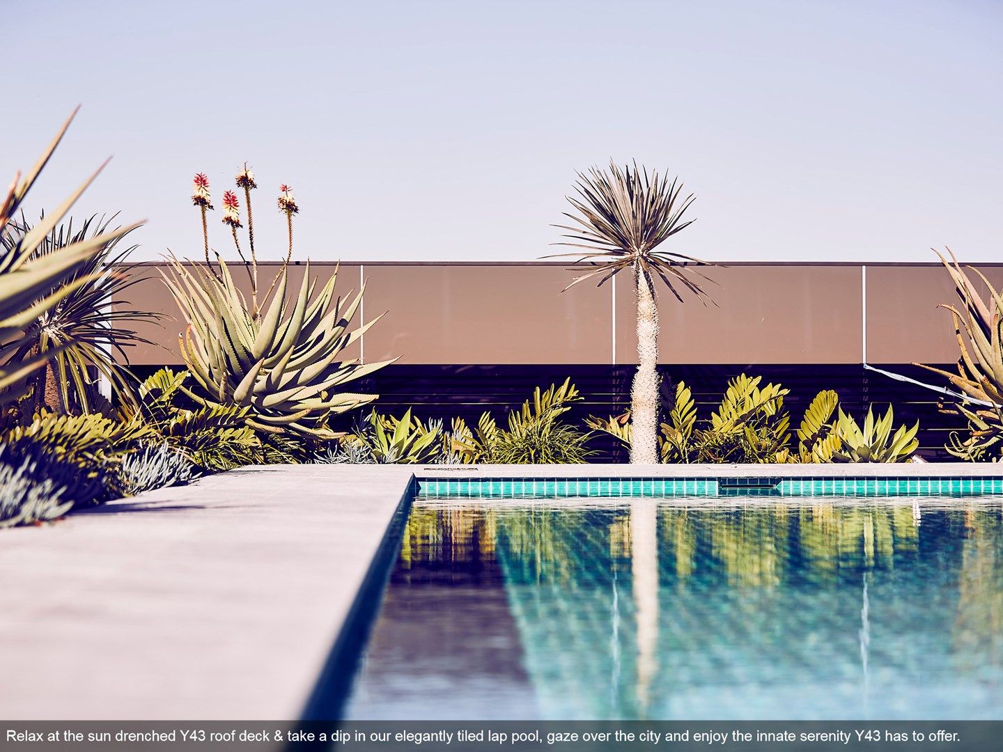 1 bedrooms Apartment / Unit / Flat in 102/43 Wyandra Street TENERIFFE QLD, 4005