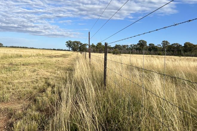 Picture of 964 "Werona" Kerriwah Rd, TULLAMORE NSW 2874