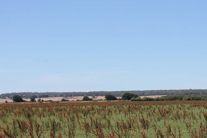Picture of Sinclairs Road, SWAN MARSH VIC 3249