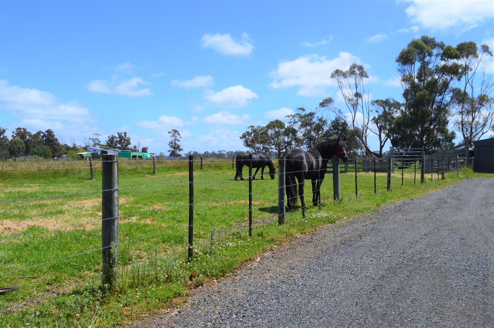 393 Tarra Valley Road, Devon North VIC 3971, Image 1