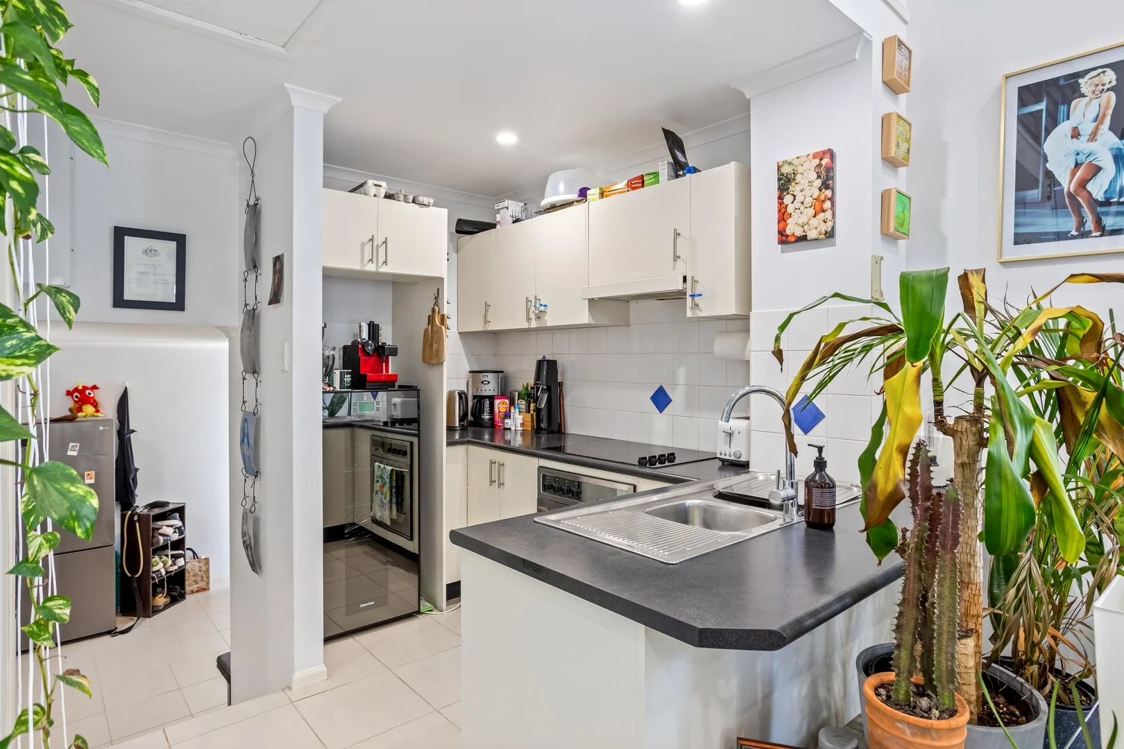 6/265 Harcourt Street, Teneriffe QLD 4005