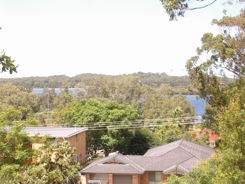 1303 Lemon Tree Passage Road, Lemon Tree Passage NSW 2319 Domain
